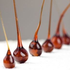 Participation au Meilleur Pâtissier Les Professionnels
